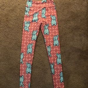 LulaRoe tween French bulldog leggings